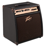Ecoustic 110 EFX
