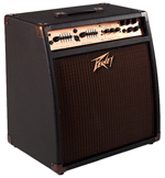 Ecoustic 112 EFX