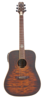 JD-AG3 Jack Daniel's Acoustic
