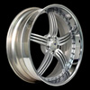 COR Fossil: 22" X 10.5" - rear